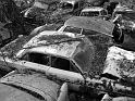 Autofriedhof - 128